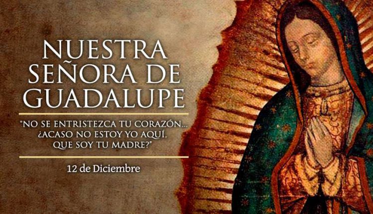 SenoraGuadalupe_12Diciembre