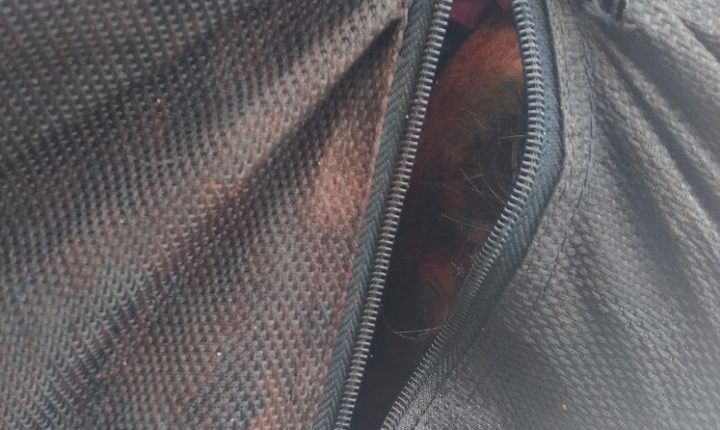 WhatsApp Image 2017-12-13 at 09.16.36 (1)