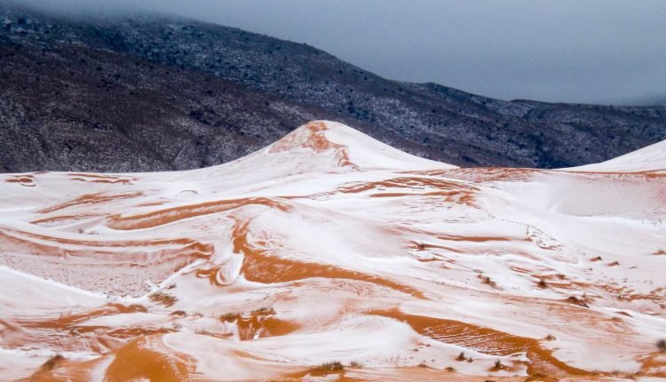 sahara-desert-snow-06-FIRST1216